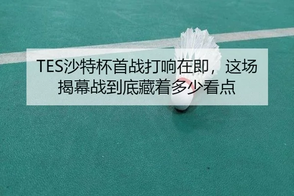 TES沙特杯首战打响在即，这场揭幕战到底藏着多少看点